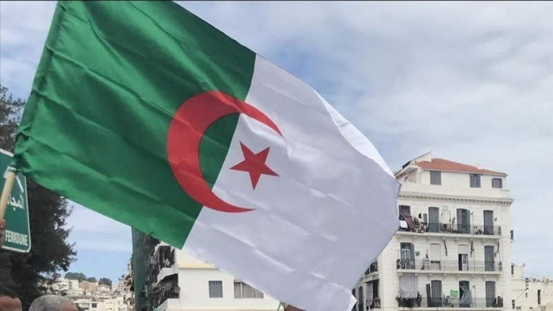 Ceyhan Petrokimya Projesi'nin propan gazı Cezayir’den
